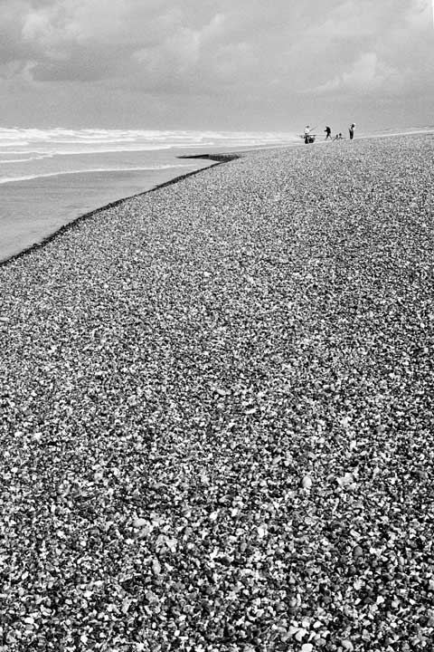 Pêcheurs en Picardie 2025