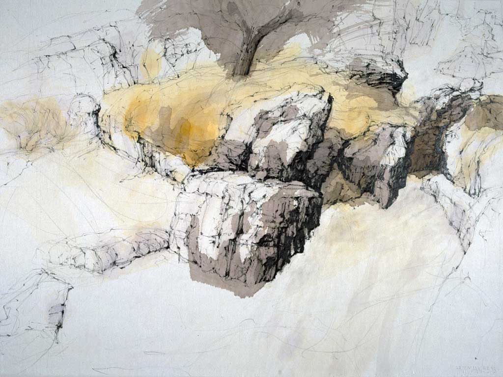 Schildkröteninsel 1993